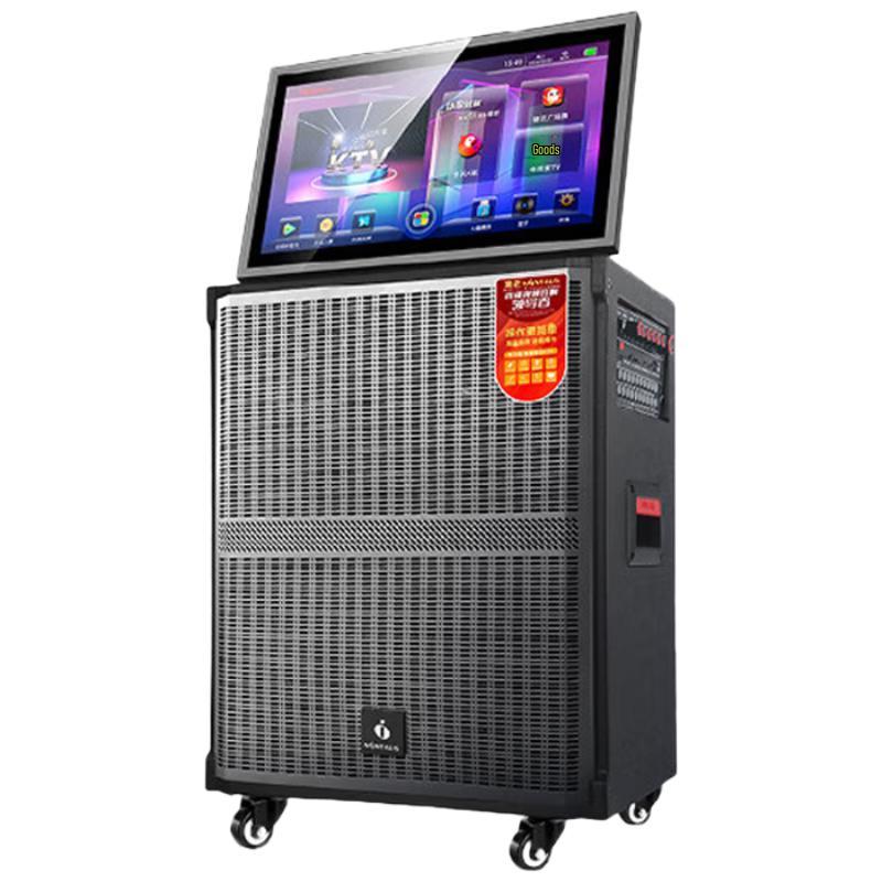 NINTAUS Smart Karaoke & Portable PA Speaker Systems