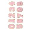 10Pcs Pink Number Patches 0 To 9 Number Exquisite Pink Easy Ironing Widely Used Iron On Patches for Jacket Shirt Shoes