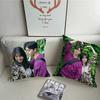 TV Series N-Nevertheless Pillow Case Home Decor Throw For Sofa Bed Car Room Decor Gift Idea