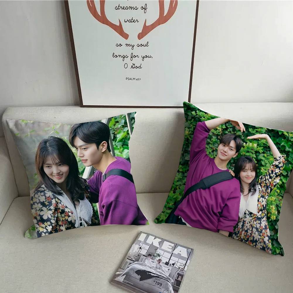TV Series N-Nevertheless Pillow Case Home Decor Throw For Sofa Bed Car Room Decor Gift Idea