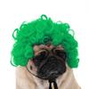 Are 10 Here Suggested Titles For The Pet Wig Product Based On The Information Provided
