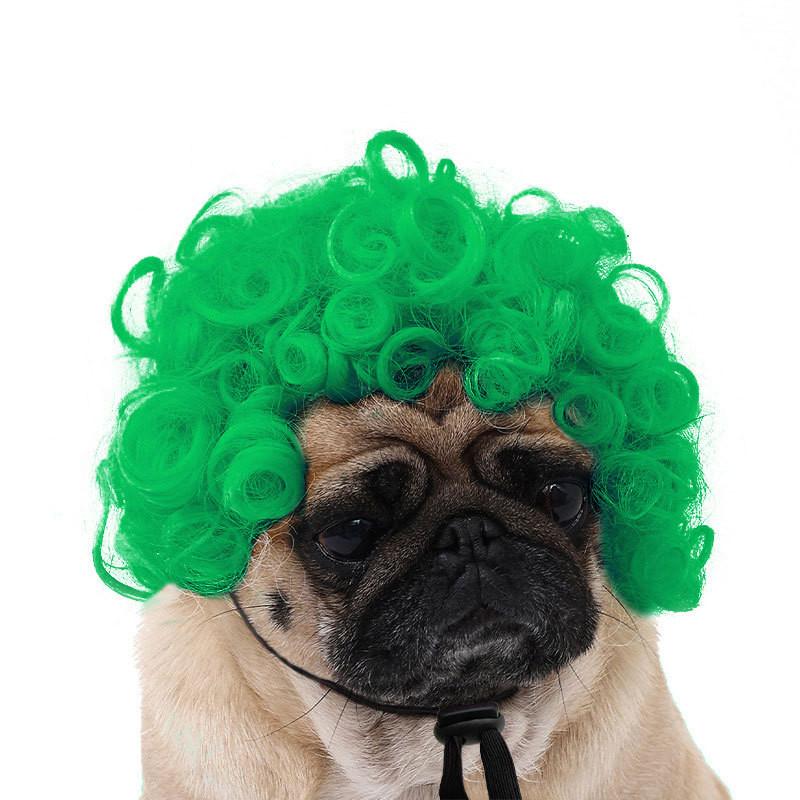 Are 10 Here Suggested Titles For The Pet Wig Product Based On The Information Provided