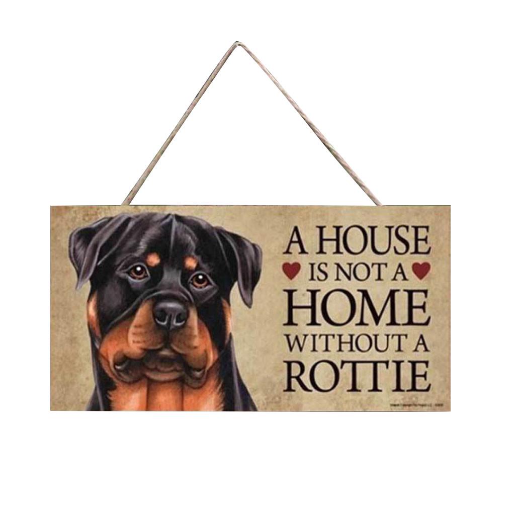 dog showing accessories