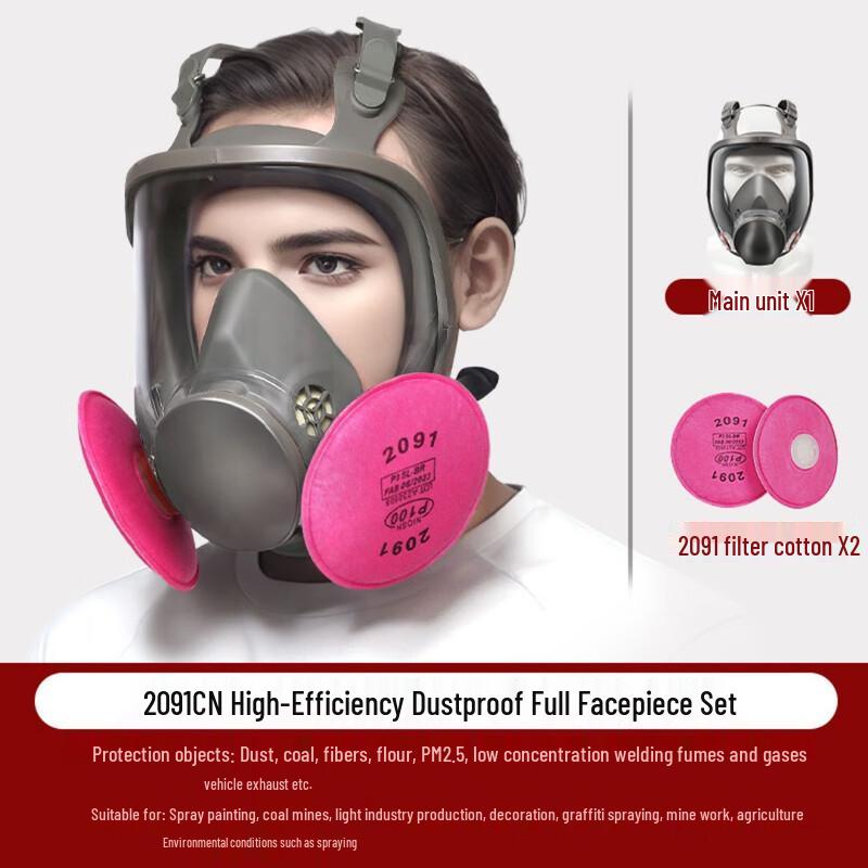 Longchan 6800 Full Face Respirator