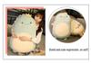 Dinosaur Plush Cushion: Soft Sleeping Backrest & Side Pillow Toy Gift