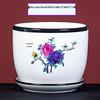 Large Ceramic Flower Pot with Saucer for Indoor or Balcony Plants