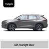 Ivory White and Bright Moon Gray Touch-Up Paint Pen for GAC Trumpchi GS5 - Scratch Repair Solution