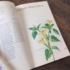 [USED] Plant encyclopedia, old German books, botanical art, junk journals