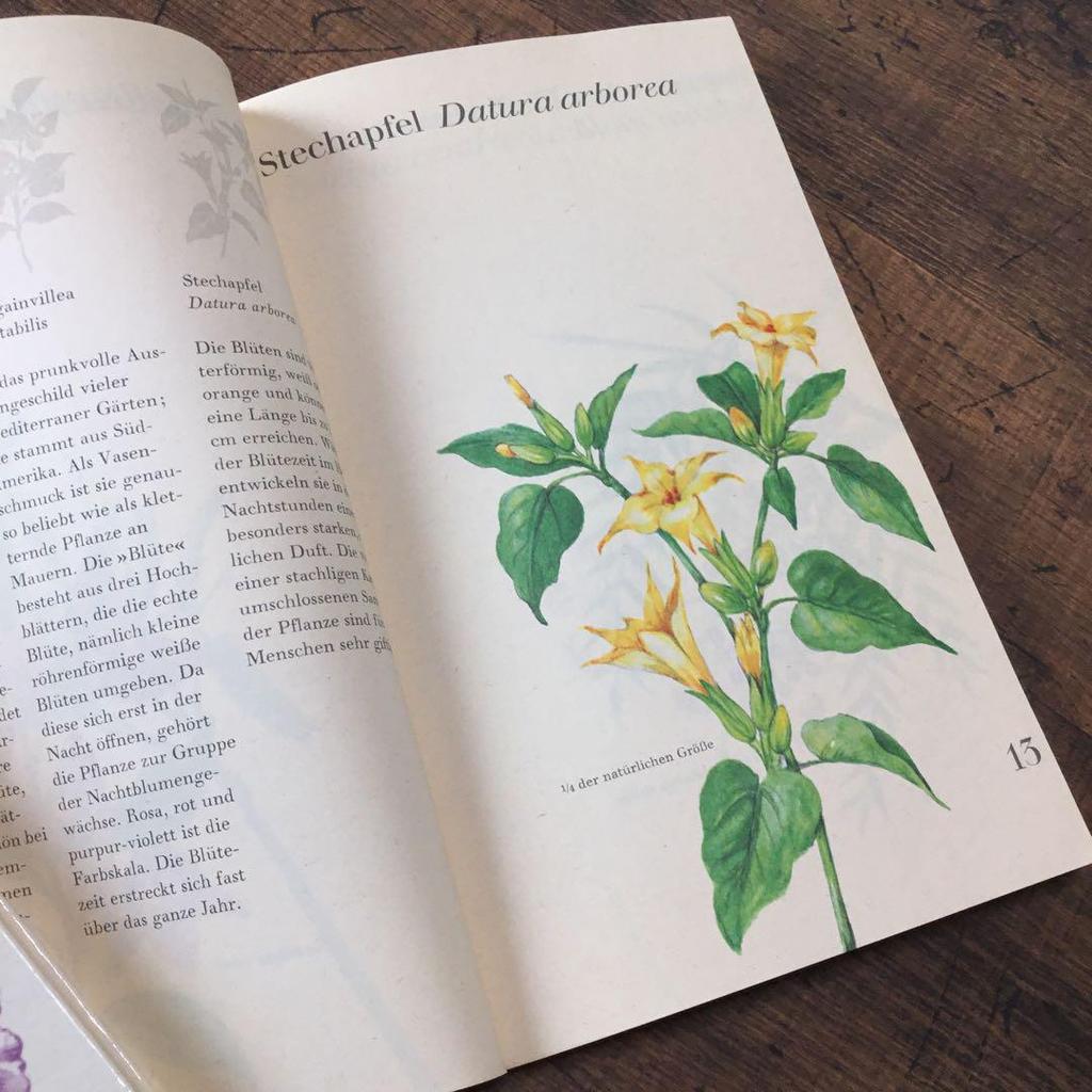 [USED] Plant encyclopedia, old German books, botanical art, junk journals