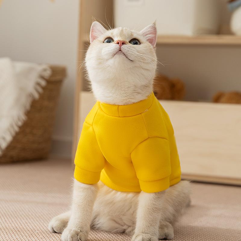Pet Clothes Good Things Happen In Autumn and Winter Yellow Cat Clothes German Cat Two Feet Thin Sweater Cat Clothes
