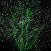 Outdoor Garden Laser Light Waterproof Christmas Projector Lighting With Safety Lock 3 Colors Red, Gr
