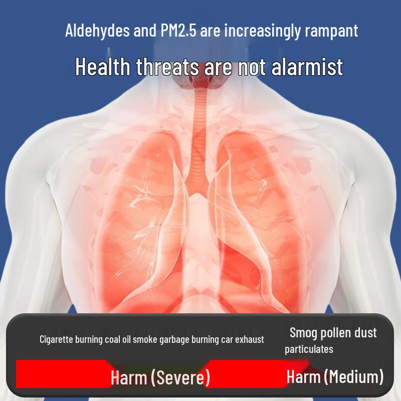 KN95 Activated Carbon Anti-Odor Mask