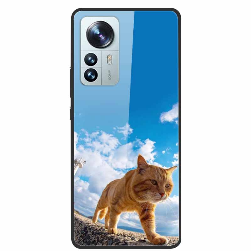 Tempered Glass Cases For Xiaomi 12T 5G Case Hard Phone Back Cover for Xiaomi 12T Pro Protection Shells Mi 12 T 12TPro 2022 Cool