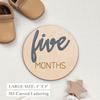 3D Wooden Baby Milestone Calendar Photography Props for Newborns: Boy & Girl Memorial Monthly Tracker