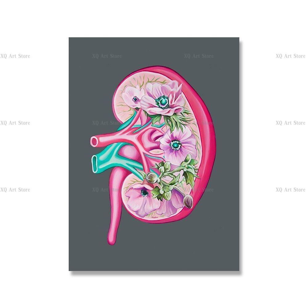 

Квітка Анатомія людини Художній принт Серце Мозок Нирки Матка Грудна клітка Печінка Легені Скелет Щитовидна залоза Горло Картини та принти на полотні 50x70cm No Framed