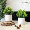 Fake Potted Plants Artificial Bonsai Mini Green Tree Office Dining Table Restaurant Decoration Ornaments Home Garden Accessories