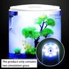 5L USB LED Fish Tank Aquariums Half Moon Mini Aquarium Acrylic Large Capacity Desktop Aquatic Fish Pet Supplies