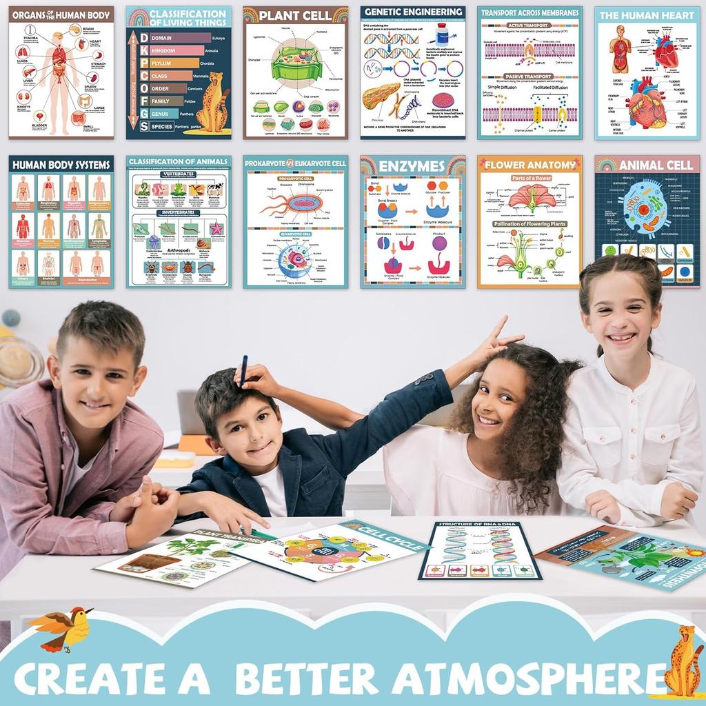 16Pcs Boho Science Posters for Classroom Middle School Supplies Biology Poster Classroom Decoration Life Science Posters Charts for Teachers High