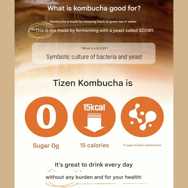 Teazen Kombucha Jogurt 150g (5g x 30 patyczków)