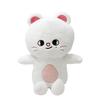 Nuovo Peluche SKZOO da 45cm Kawai Cartone Animato Animale di Peluche Bambola di Peluche Cuscino per Dormire Collezione Regalo