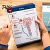 A&P Exam Prep Materials Anatomy Label Lab Workbook Human Illustrations 100+ Reusable Practice Book Full-Color Dry-Erase Pages Educational Resource for