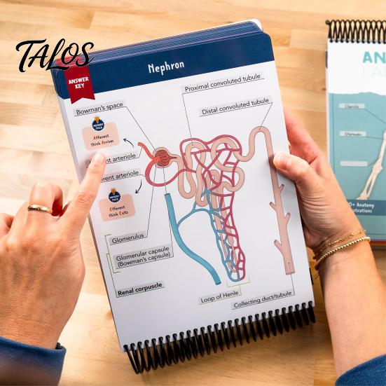 A&P Exam Prep Materials Anatomy Label Lab Workbook Human Illustrations 100+ Reusable Practice Book Full-Color Dry-Erase Pages Educational Resource for