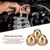 Brass Acorn Nut Kit Dome Head Cap Hex Nuts Set Vehicle Fasteners