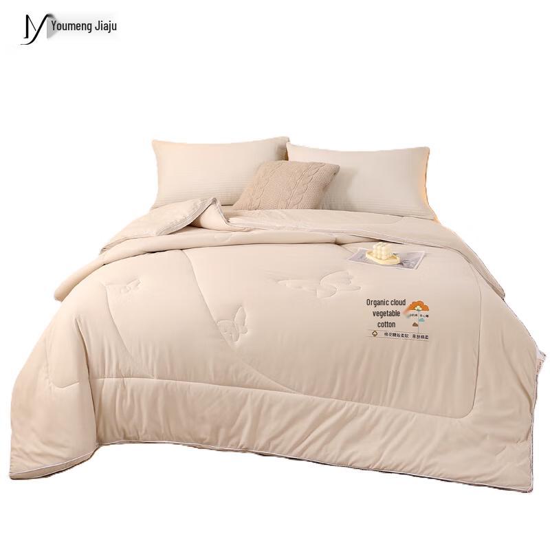 

You Meng Jia Ju Cloud-Soft Nine-Hole Warm Quilt