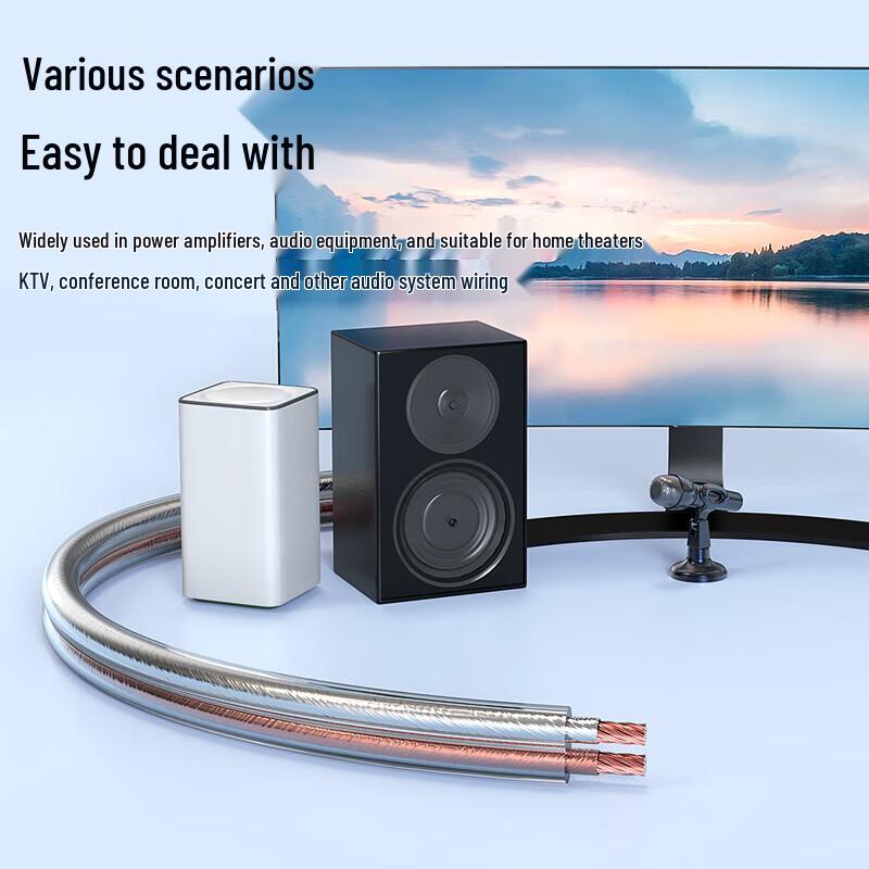 BIAZE Audiophile Pure Copper Speaker Cable
