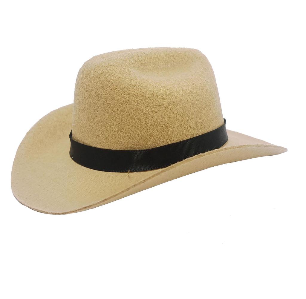 Denim Cowboy Hat with Star for Cats & Small Dogs