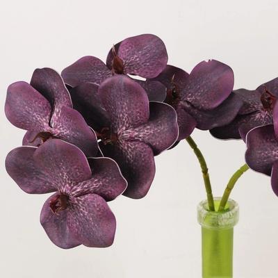 Butterfly Orchid Artificial Vanda Orchid Flower Real Touch Handmade Faux Phalaenopsis Artificial Luxury Fake Flower Branch