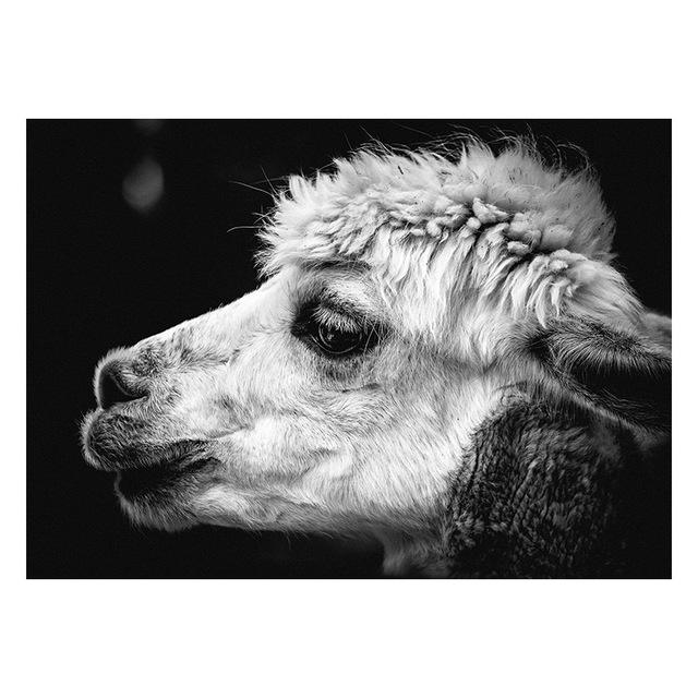 

Черно-белые детеныши животных, ягненок и медведь, декоративная живопись, домашняя гостиная, подвесная картина с животными, Cuadros Decoracion Salon 21*30cm