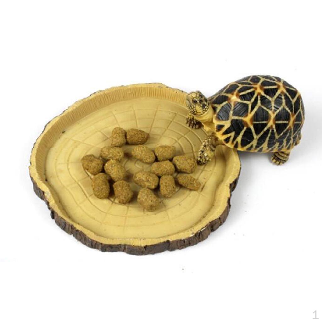 Dish Bowl Feeder Terrarium Decor for Reptile Tortoise Snake 16 x 2 1.5cm