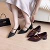 Pointed Single Shoes Medium Heel Thick Heel Women's Shoes 2025 New Autumn French Retro Fashion Versatile Mary Jane Small Leather Shoes