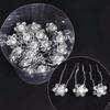 Set di spille per capelli da sposa Perla Cristallo Strass Fermagli per Capelli Accessori per Damigelle Decorazione Capelli Gioielli per Capelli