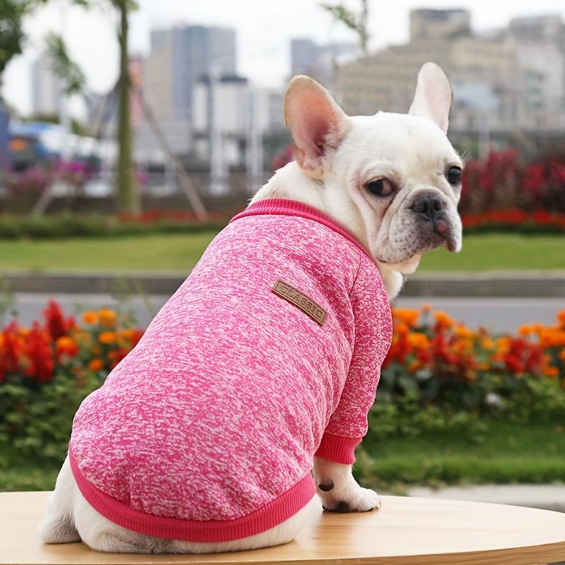New Two-legged Multi-color Dog Clothing, Puppy Thin Velvet Sweater, Dogs And Cats Pet Clothes For Autumn And Winter