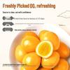 Yanjin Puzi Assorted Braised Quail Eggs Snack Pack