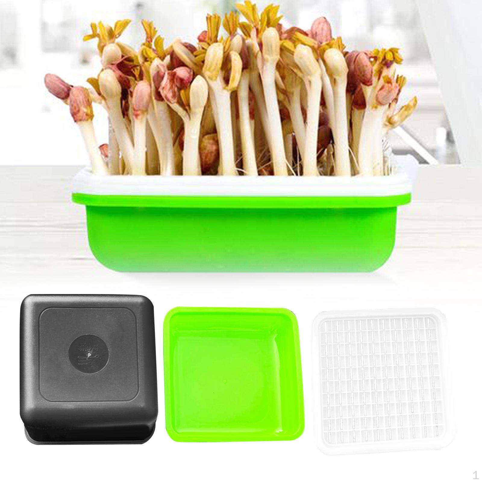 

Коробка для ростков арахиса, детский горшок, лоток для выращивания прорастания для садовой крытой теплицы 3pcs