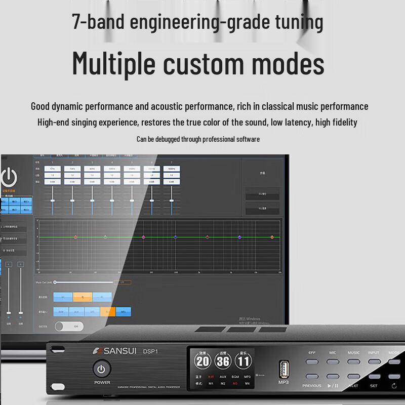 SANSUI PK12 Professional KTV Speaker System CN Plug (adapter Included)