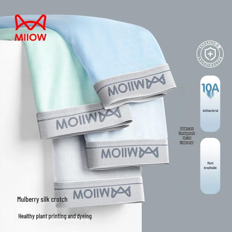 MaoRen Teen Boys Ice Silk Breathable Underwear 4-Pack