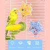 Interactive Spinning Wheel Colorful Parrot Toys For Small Birds Chewing Exercise Cage Accessories With Rotating Rattle