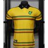 US, Canada and Mexico World Cup national team football jersey England jersey