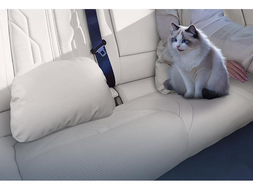 BYD Dolphin Headrest & Lumbar Support: Essential Car Neck & Waist Pillow for Interior Comfort