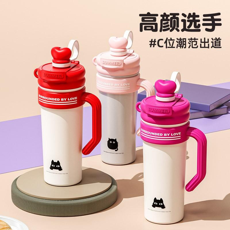 700ml Stainless Steel Insulated Tumbler With Straw Tea Infuser Handle Women Office Travel Outdoor Use