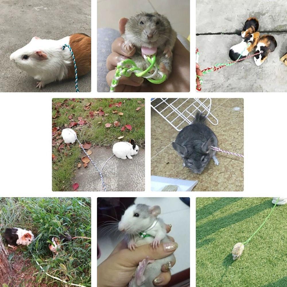 Nylon Pet Cage Leash Adjustable Walking Leash Comfortable Rabbit Collar Leash Rat Mouse Hamster
