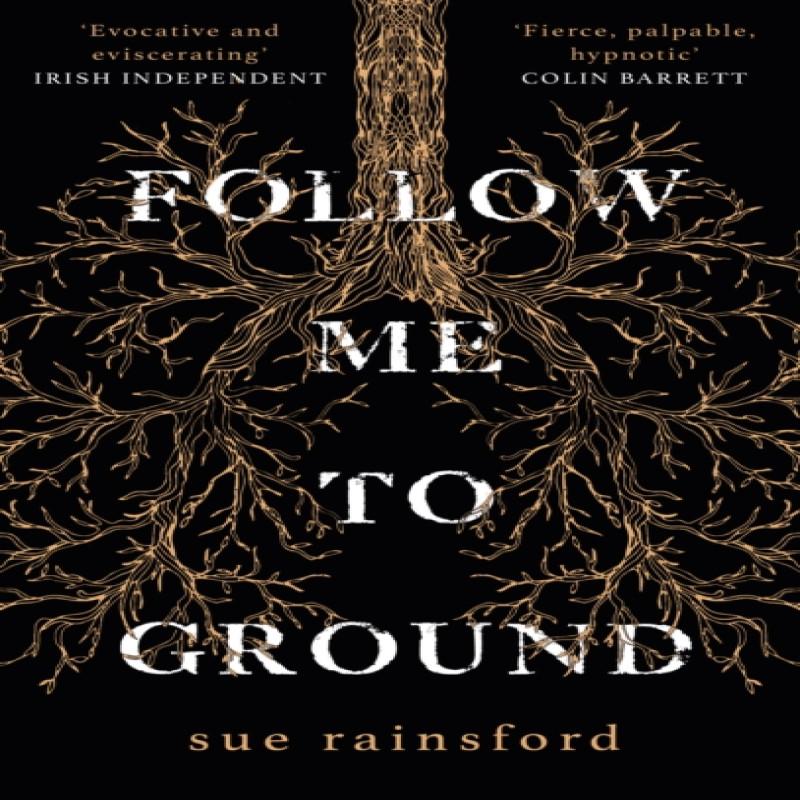 Follow Me To Ground by Sue Rainsford Paperback Book 9781784164942