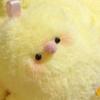 1/2Pcs Cute Little Yellow Chicken Pendant Plush Toy Doll Net Red Chick Mini Bag Pendant Keychain Doll