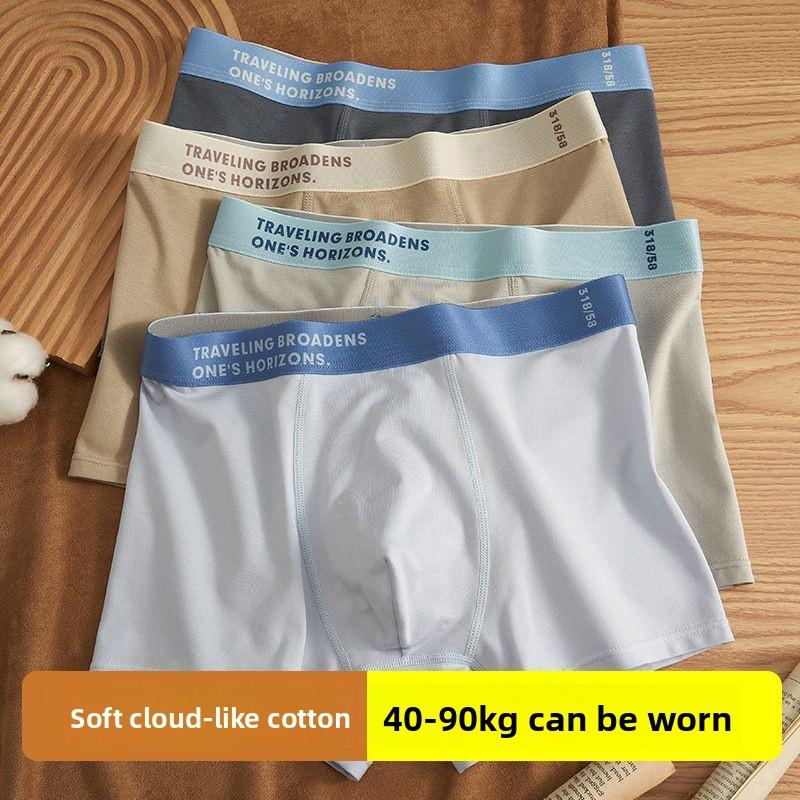 Men's Spring and Summer Light Cotton Breathable Teenager Flat Angle Underwear