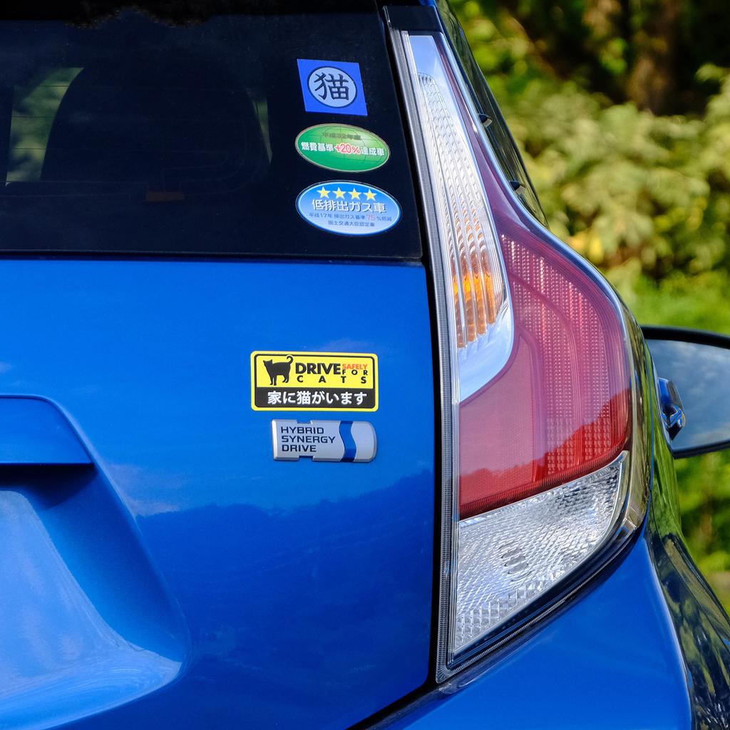 V domě je kočka Styl palubní kamery Bezpečná jízda Magnetická nálepka Odolná proti povětrnostním vlivům