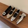 Coarse Heel French Silver Mary Jane Single Shoes Women's Shoes 2025 New Spring and Autumn Square Head Rhinestone Temperament High Heels